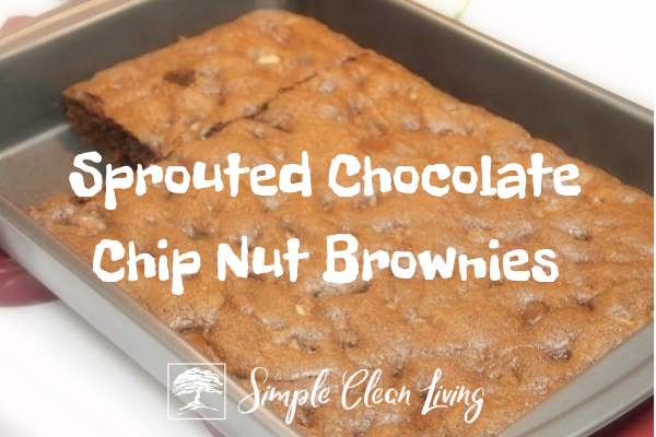 Sprouted Chocolate Chip Nut Brownies