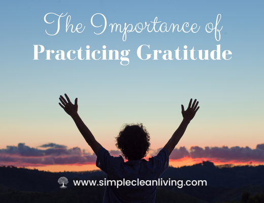The Importance of Gratitude Blog post title