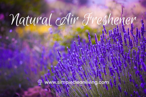 Natural Air Freshener blog post- Picture of a field of lavendar