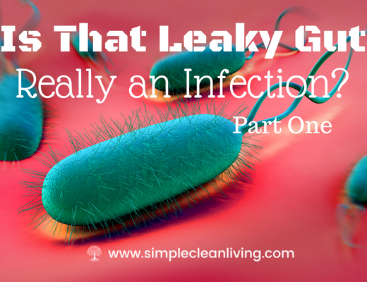 Is That Leaky Gut Really An Infection Blog Post- Picture of an h pylori infection