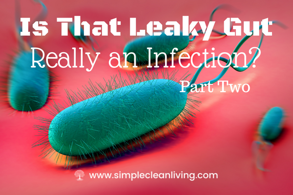 Is that leaky gut really an infection part two- picture of an h pylori infection