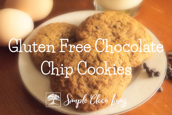 Gluten Free Chocolate Chip Cookies