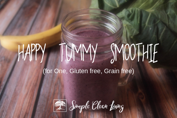 Happy Tummy Smoothie (Recipes for One)