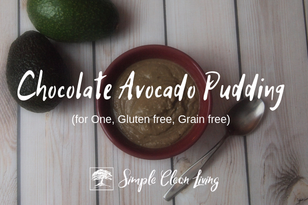 Chocolate Avocado Pudding (Recipes for One)