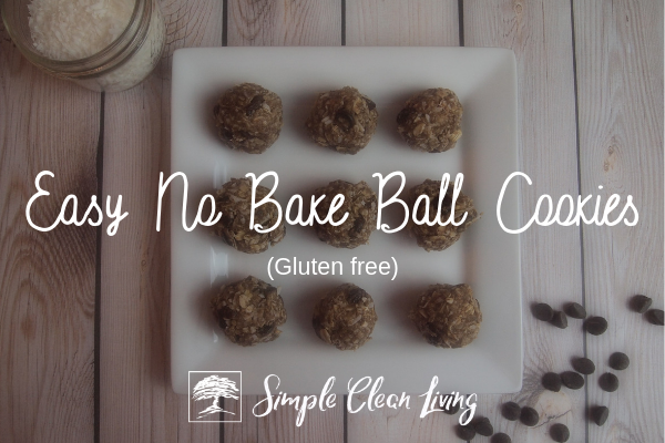 Easy No Bake Ball Cookies