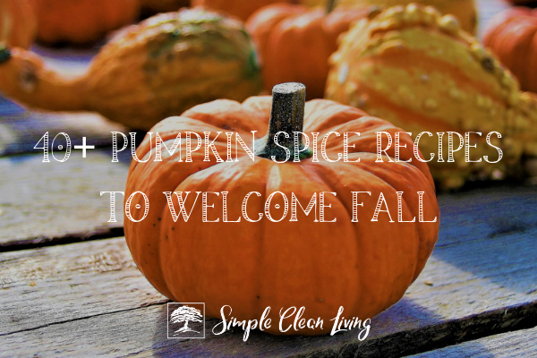 40+ Pumpkin Spice Recipes to Welcome Fall!