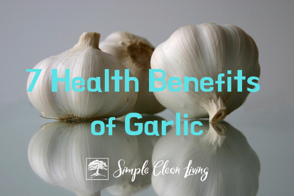 7 Health Benefits of Garlic