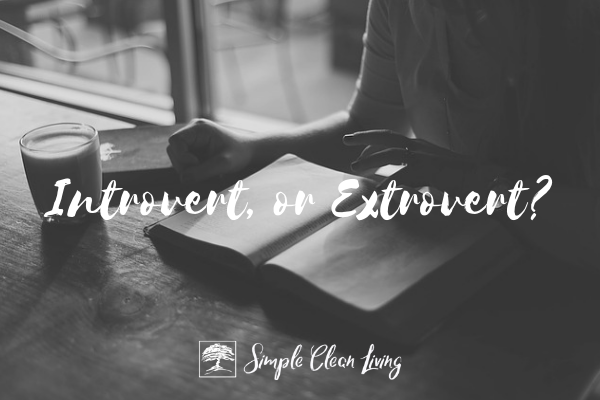 Introvert or Extrovert?