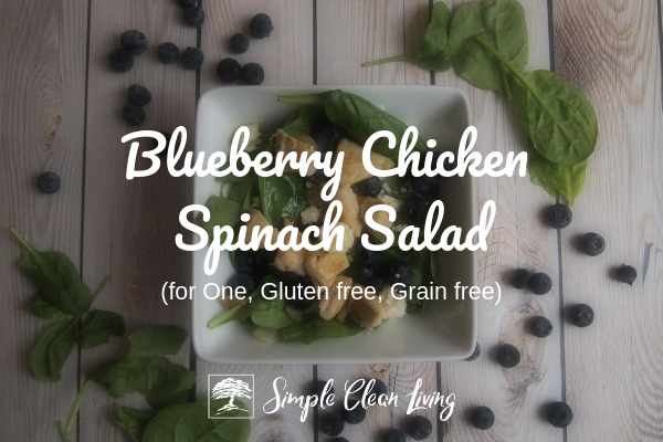Blueberry Chicken Spinach Salad (Recipes for One)