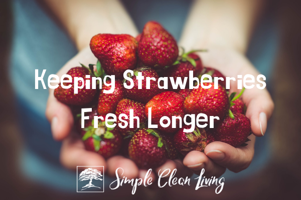 Keeping Strawberries Fresh Longer