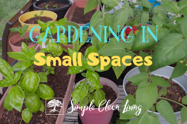Picture of herbs in containers with the blog post title "Gardening in Small Spaces"