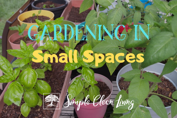 Gardening in Small Spaces