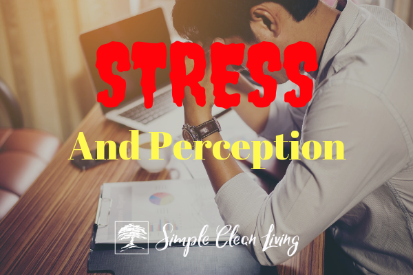 Stress and Perception