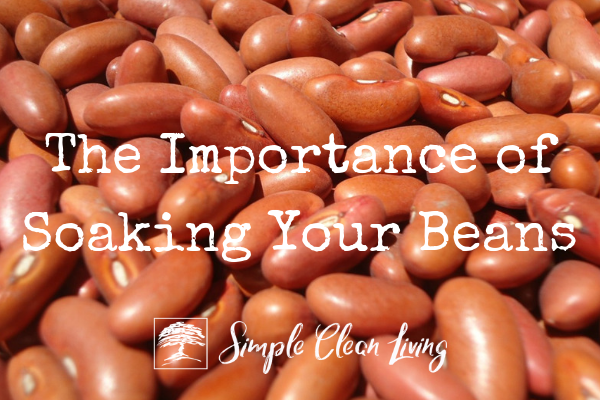 The Importance of Soaking Beans