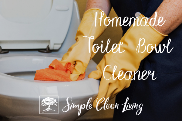 Picture of a person wearing rubber gloves, cleaning a toilet and the blog post title "Homemade Toilet Bowl Cleaner"