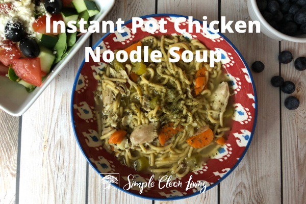 Instant Pot Chicken Noodle Soup (Recipes for Two)