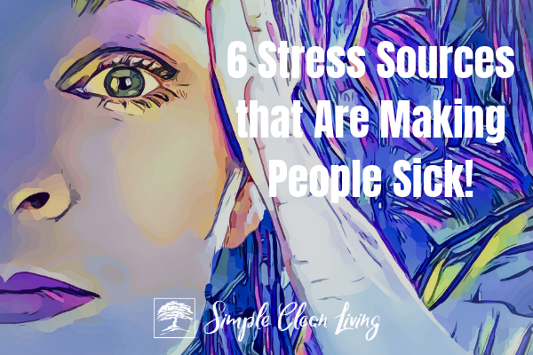A picture of a stressed woman with the blog post title "6 Stress Sources that are Making People Sick"