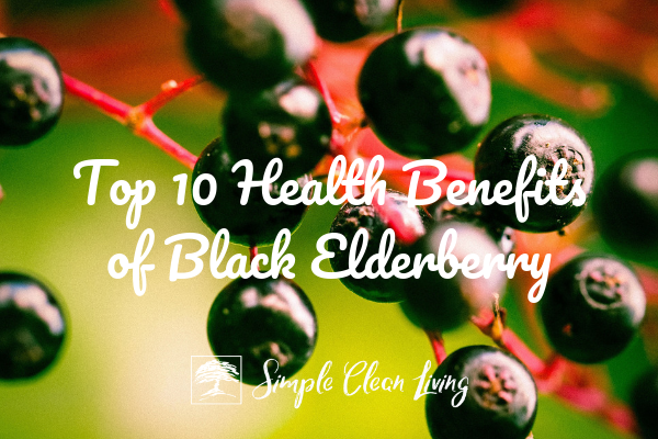 Top 10 Health Benefits of Black Elderberry