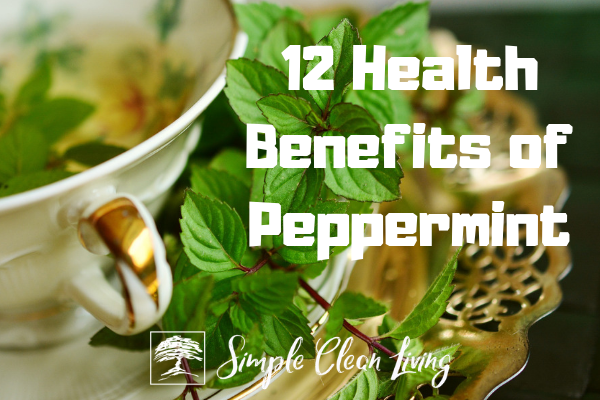 12 Health Benefits of Peppermint