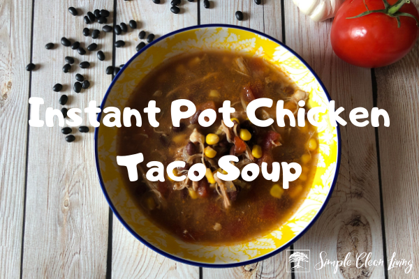 A bowl of chicken taco soup