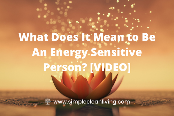 What Does It Mean to Be An Energy Sensitive Person- Picture of an opening water lilly