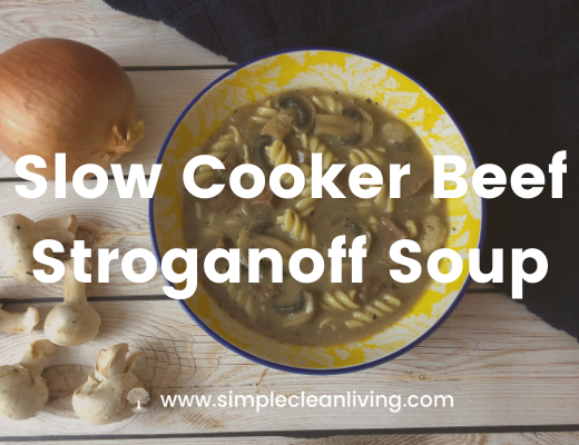 Picture of a bowl of beef stroganoff soup