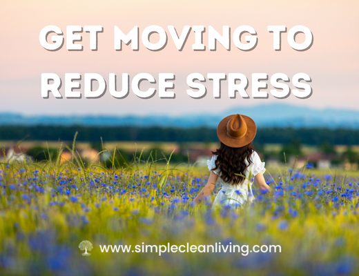 Get Moving to Reduce Stress- A woman is walking through a field of flowers
