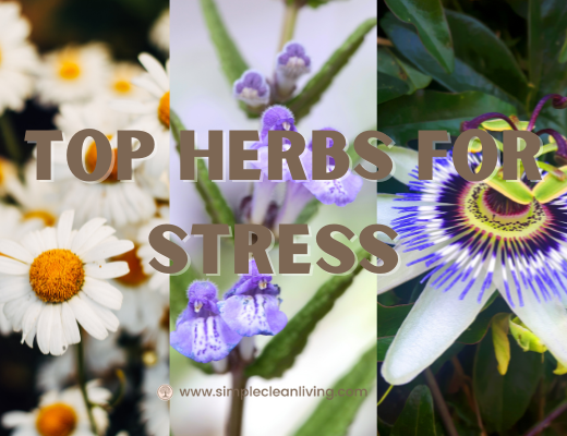 Top herbs for stress blog post- Picture of three different herb flowers