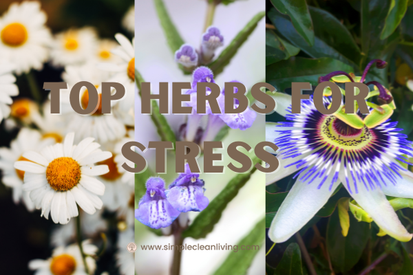 Top Herbs for Stress