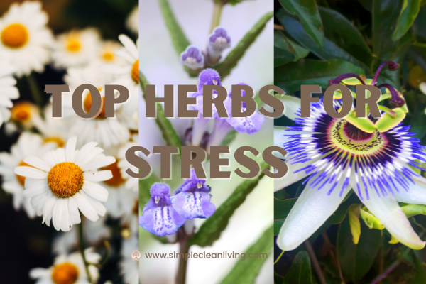 Top herbs for stress blog post- Picture of three different herb flowers