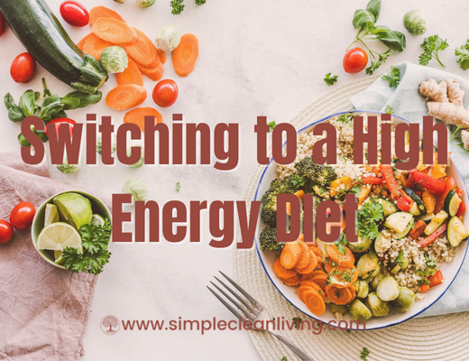 Switching to a High Energy Diet- A picture of a bowl of healthy foods sitting on a table