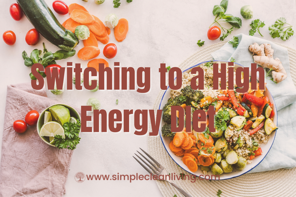 Switching to a High Energy Diet- A picture of a bowl of healthy foods sitting on a table