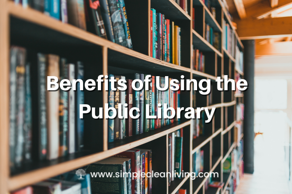 Benefits of Using the Public Library Blog Post- With a Picture of a library bookcase filled with books