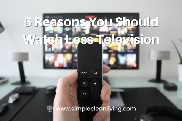 5 Reasons You Should Watch Less Television Blog Post. Picture of a person holding up the TV remote in front of a flat screen television