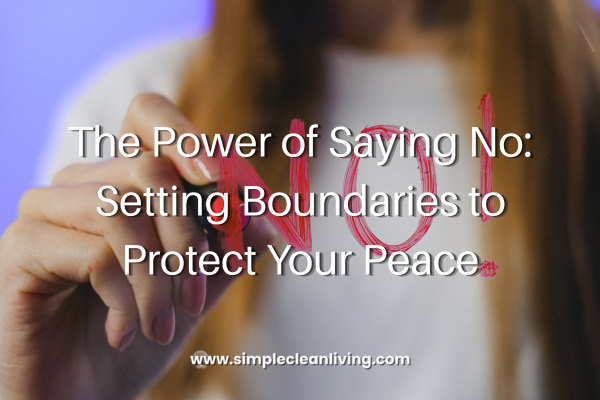 The Power of Saying No: Setting Boundaries to Protect Your Peace blog post title